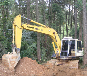 servio de limpeza de terreno